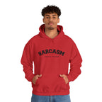 Sarcasm Degree Holder Hoodie – Unisex Funny Statement Hoodie